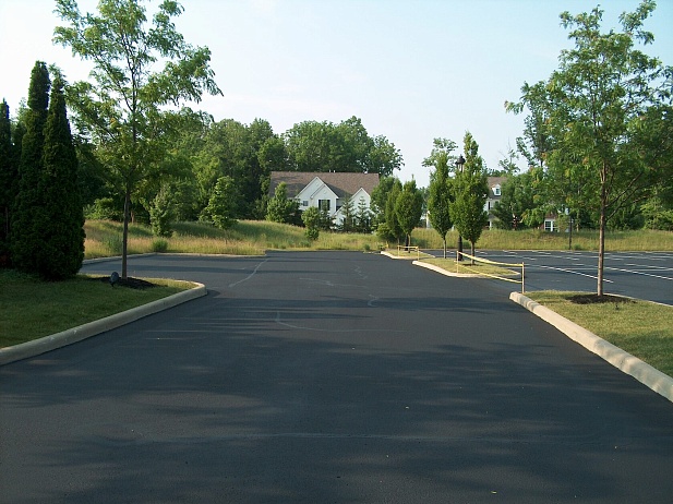 Можно ли использовать обычные бытовые средства для очистки асфальтовых поверхностей?